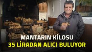 Mantar Çameli halkının geçim kaynağı oldu