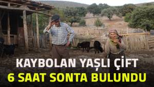 Sisli havada hayvanlarını aramak isterken kaybolan çifti jandarma buldu