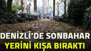 Sonbaharın son günleri Denizli’de fotoğraf karelerine yansıdı