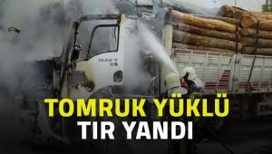 Tomruk yüklü tır yandı