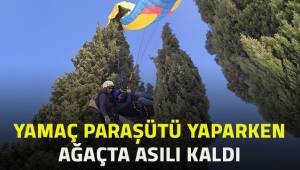Yamaç paraşütü yaptıkları sırada ağaçta asılı kaldı