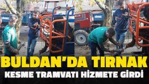 Büyükbaş hayvanların ayak ve tırnak bakımları böyle yapılıyor