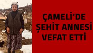 Çameli'de şehit annesi vefat etti