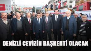 Cevizin başkenti Denizli olacak