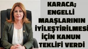 CHP Genel Yardımcısı Karaca; engellilerin maaşlarının iyileştirilmesi için kanun teklifi verdi