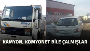 Denizli'de hırsızlar kamyon, kamyonet ne buldularsa çalmışlar