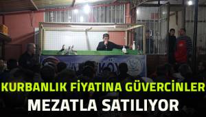 Kurbanlık fiyatına güvercinler mezatla satılıyor