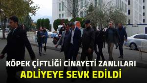 Öldürdüğü şahsı gömmeye çalışırken yakalanan katil zanlısı suç ortağı ile adliyeye sevk edildi