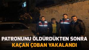 Patronunu öldüren çoban yakalandı