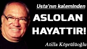 Aslolan Hayattır!
