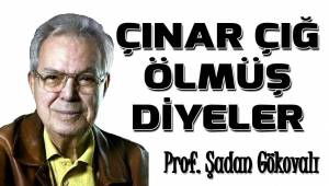 Çınar Çığ ölmüş diyeler