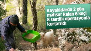 Kayalıklarda 2 gün mahsur kalan 6 keçi 8 saatlik operasyonla kurtarıldı