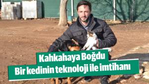 Kedinin cep telefonundan fare ile oyunu kahkahaya boğdu