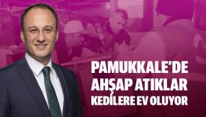 Pamukkale'de Ahşap Atıklar Kedilere Ev Oluyor