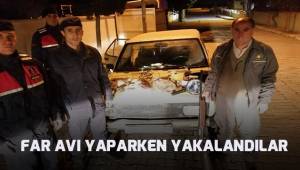Projektör ile far avı yaparken yakalandılar
