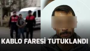 Telefon kablolarını çalan hırsızlık şüphelisi tutuklandı