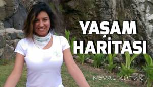 Yaşam Haritası