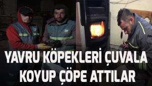 Yavru köpekler hidrolik sistemli çöp kamyonunda ezilmek üzereyken son anda fark edildi