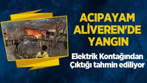 Acıpayam Aliveren'de Yangın