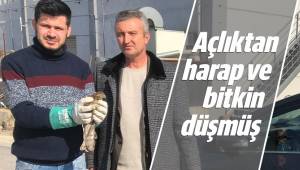Açlıktan harap ve bitkin düşmüş
