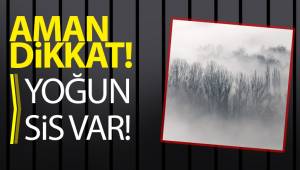 Aman Dikkat! Yoğun Sis Var!