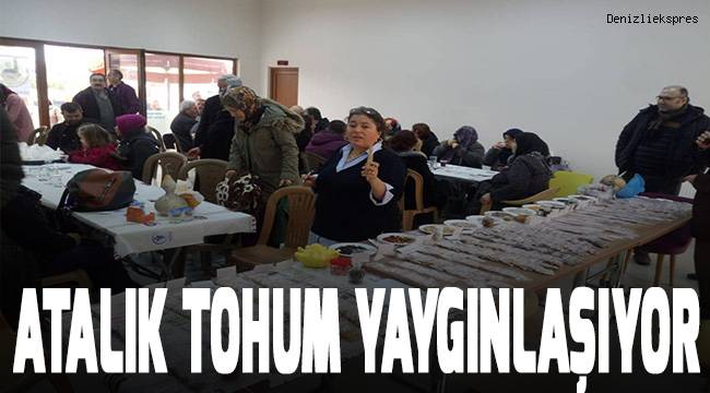 Atalık tohum yaygınlaşıyor
