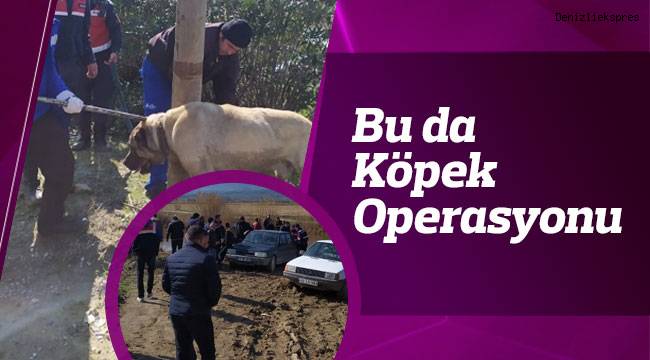Bu da Köpek Operasyonu