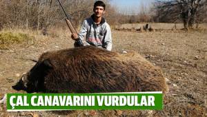 Çal canavarını vurdular