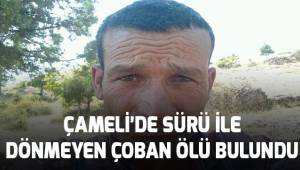 Çameli'de sürüyle dönmeyen çoban ölü bulundu