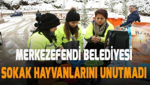 Can dostlarımız için mama, süt ve su bırakıldı…