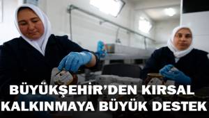 Denizli kestane şekerinde de marka olacak