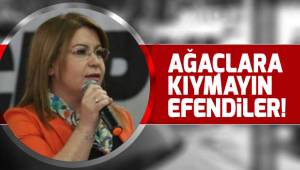 GÜLİZAR BİÇER KARACA: AĞAÇLARA KIYMAYIN EFENDİLER!
