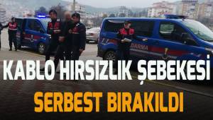 JASAT’ın çökerttiği kablo hırsızlık şebekesi üyeleri adli kontrolle serbest bırakıldı