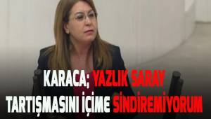 Karaca; Yazlık sarat tartışmasını içime sindiremiyorum.