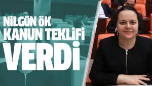 Milletvekili Nilgün Ök, Kanun Teklifi verdi