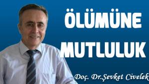 Ölümüne mutluluk