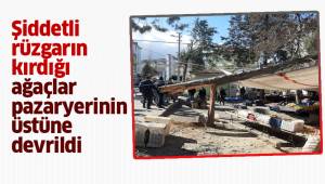 Şiddetli rüzgarın kırdığı ağaçlar pazar yerinin üstüne devrildi