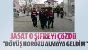 Şifre: Dövüş Horozu Almaya Geldim
