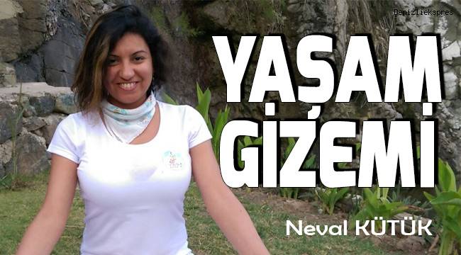 Yaşam Gizemi