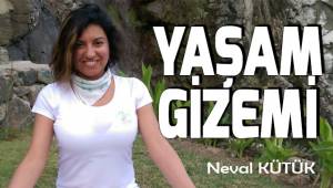 Yaşam Gizemi