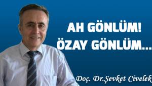 Ah Gönlüm! Özay Gönlüm...