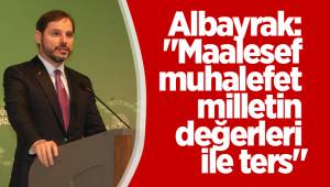 Albayrak: