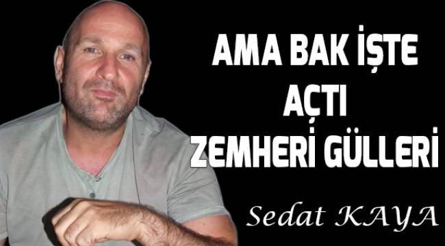 Ama bak işte açtı zemheri gülleri