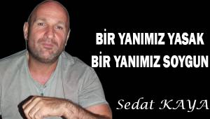 Bir yanımız yasak, bir yanımız soygun