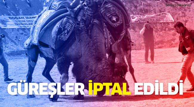 Buldan deve güreşleri korona virüsü tedbirleri kapsamında iptal edildi