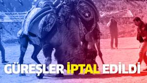 Buldan deve güreşleri korona virüsü tedbirleri kapsamında iptal edildi