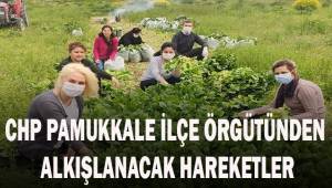 CHP Pamukkale İlçe Örgütünden alkışlanacak hareketler