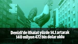 Denizli’de ithalat yüzde 14,1 artarak 140 milyon 472 bin dolar oldu