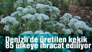 Denizli’de üretilen kekik 85 ülkeye ihracat ediliyor