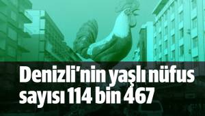 Denizli’nin yaşlı nüfus sayısı 114 bin 467
